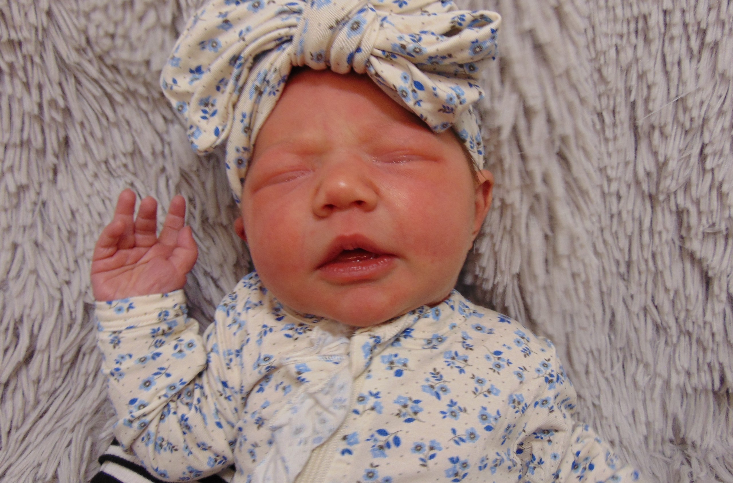 Audrey Loretta - CCM Health Special Deliveries